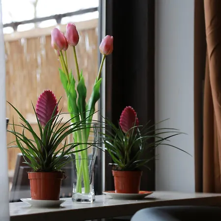 Apartament Ruhiges Nest Bad Endorf